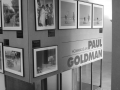 ausstellung paul goldmann